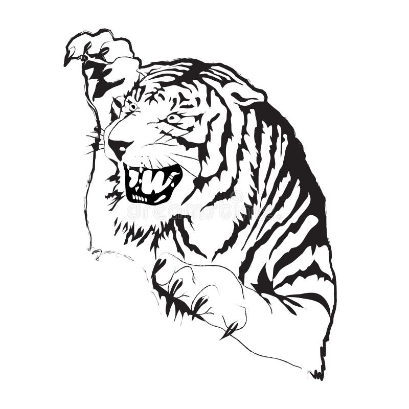 Tigervektorschattenbild stock abbildung Tigervektorschattenbild stock abbildung