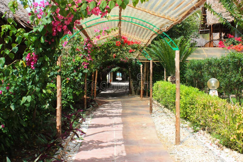 Tight green passage between the overgrown plants and flowers.