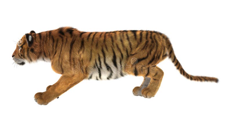 Foto de Tigre 3d Isométrico e mais fotos de stock de Tridimensional -  Tridimensional, Animal, Tigre - iStock