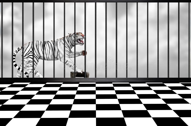 Tigre Blanc Illustration Stock Illustration Du Sentation Tigre Blanc Illustration Stock Illustration Du Sentation