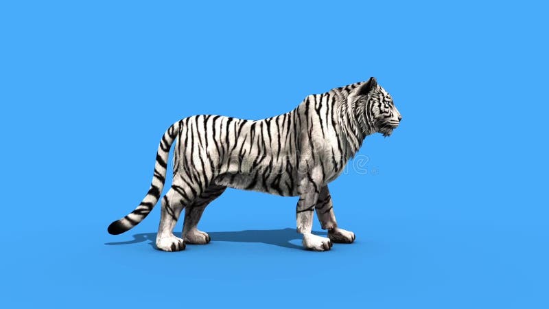 Renderização 3d de forma de tigre