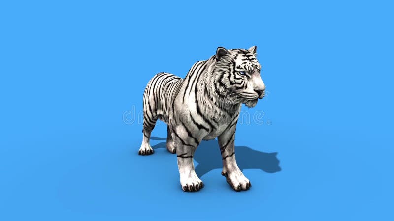 Foto de tigre branco renderizada em 3d