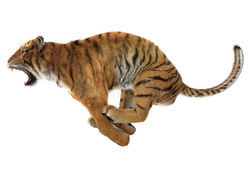 Foto de Tigre 3d Isométrico e mais fotos de stock de Tridimensional -  Tridimensional, Animal, Tigre - iStock