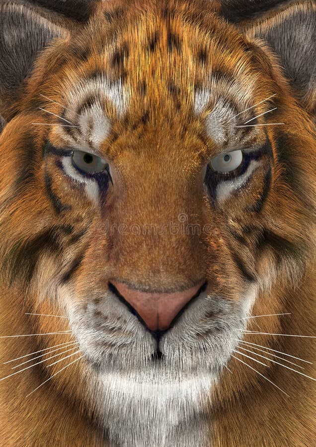 Renderização 3d De Um Grande Tigre De Gato Isolado No Fundo Branco