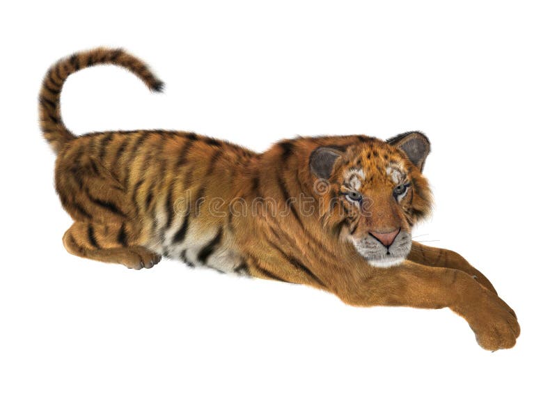 Renderização 3d De Um Grande Tigre De Gato Isolado No Fundo Branco