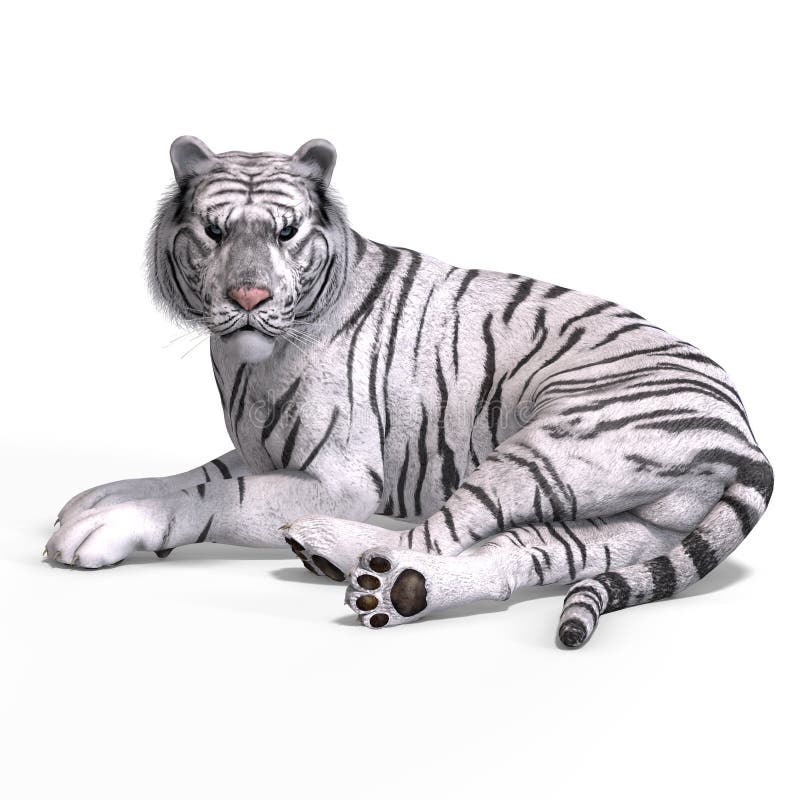 Filhote de tigre 3D model - Baixar Animais no