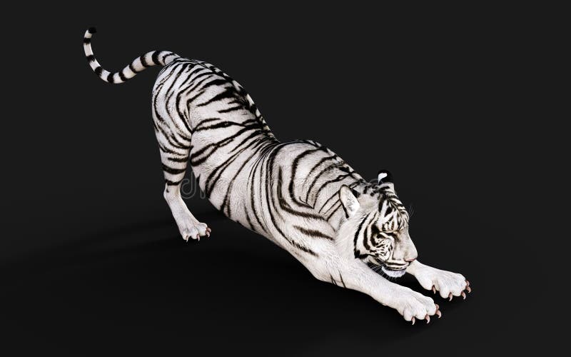 Tigre Deitado 3D model - Baixar Animais no