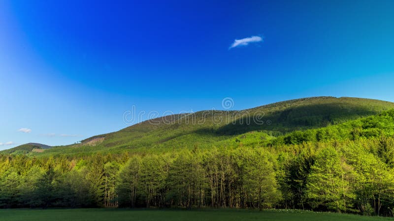 Tijdpad van schaduwen en wolken die op hellingen van radhost hill bewegen en een uitgezonden toren in een dicht bos met bewegende