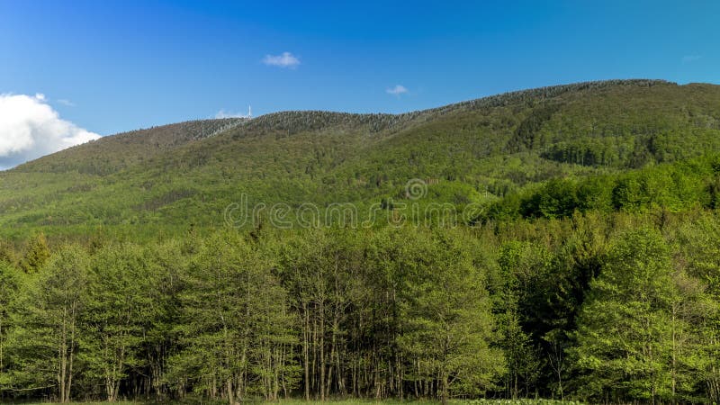 Tijdpad van schaduwen en wolken die op hellingen van radhost hill bewegen en een uitgezonden toren in een dicht bos met bewegende