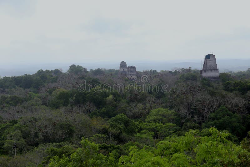 Tikal park narodowy blisko Flores w Gwatemala, jaguar świątynia jest sławnym ostrosłupem w Tikal obrazy stock Tikal park narodowy blisko Flores w Gwatemala, jaguar świątynia jest sławnym ostrosłupem w Tikal obrazy stock