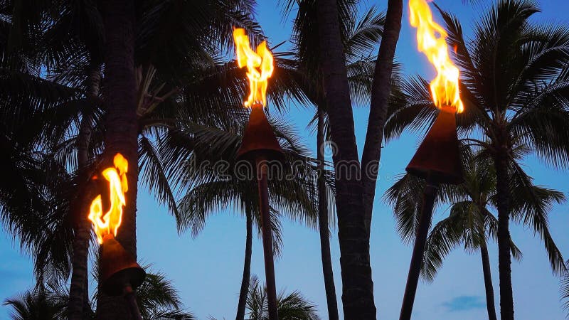 Tiki Torches Burning auf Waikiki-Strand nachts lizenzfreies stockfoto Tiki Torches Burning auf Waikiki-Strand nachts lizenzfreies stockfoto