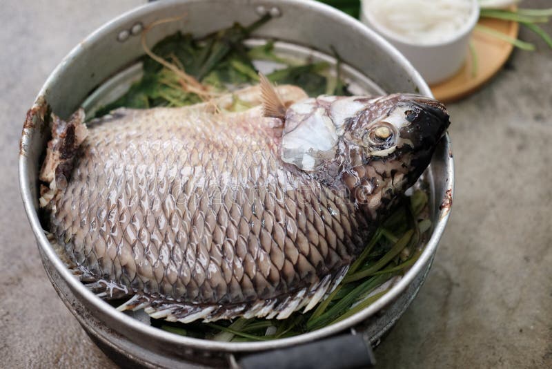 Tilapia Cocida Al Vapor En Pote Foto de archivo Imagen de comida