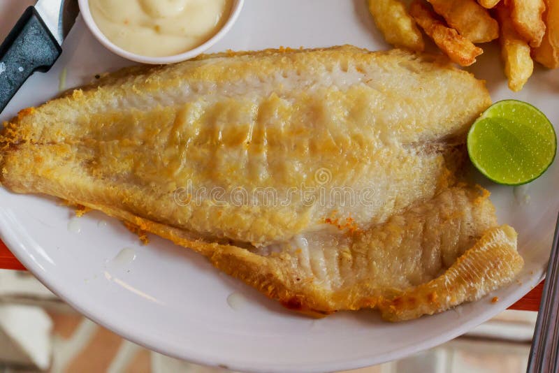 Tilapia Fish Steak on a White Plate. Stock Photo Image of lunch