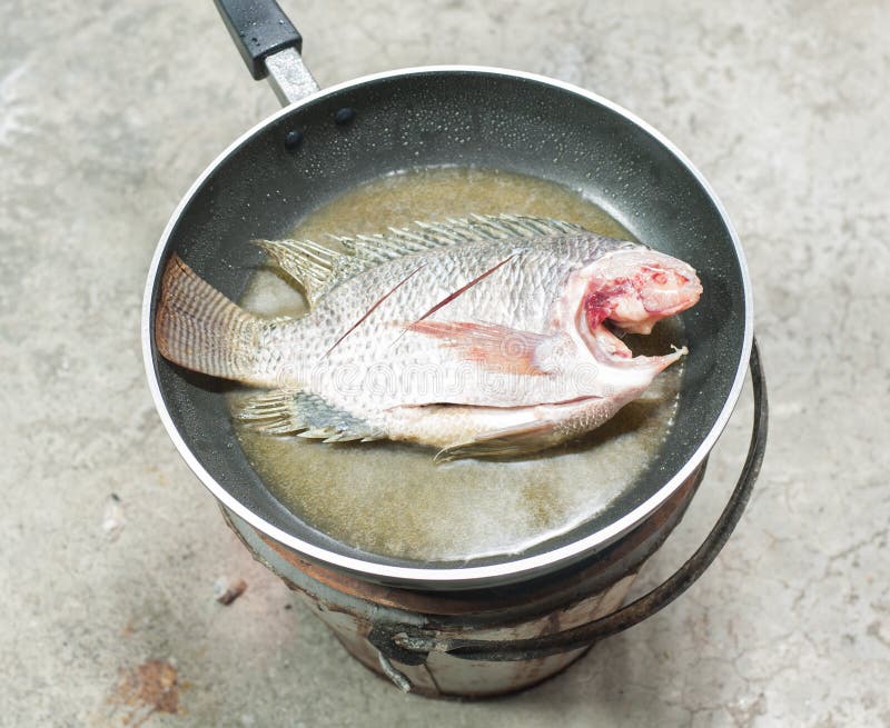 Tilapia fresh fry stock photo. Image of fried, dish, iron 27024114