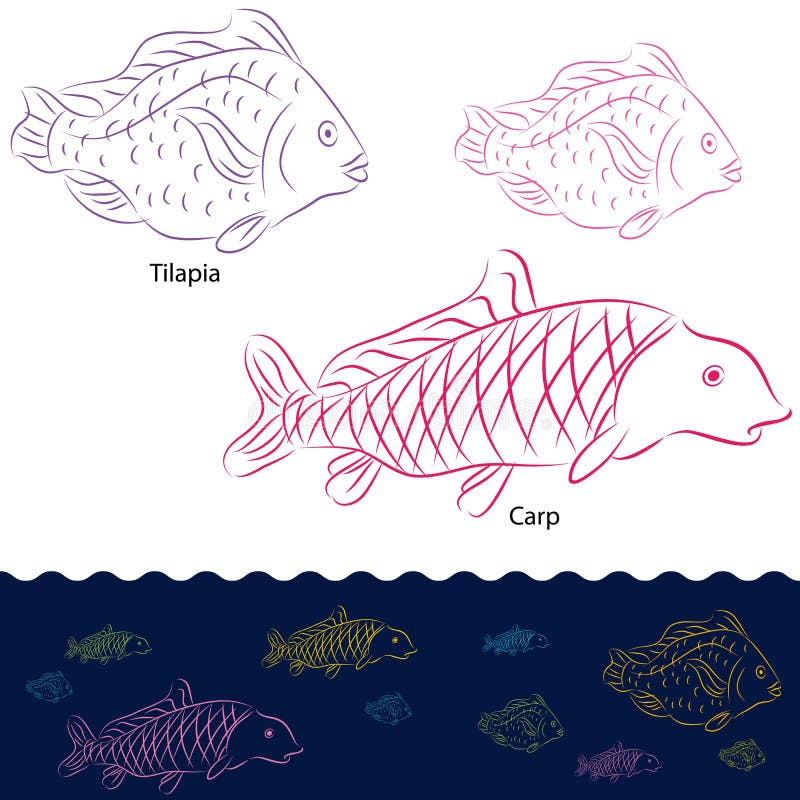 Tilapia i Rybi Karpia Set royalty ilustracja Tilapia i Rybi Karpia Set royalty ilustracja
