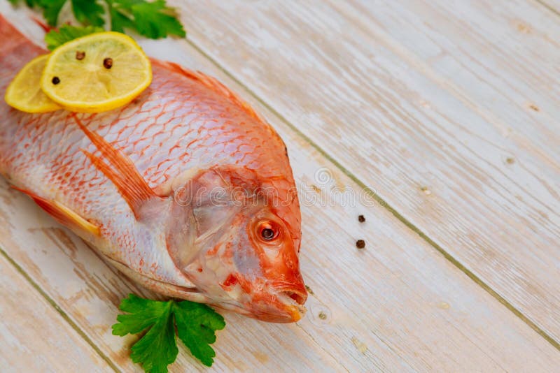 Tilapia roja con especias de hierbas y limón fotografía de archivo