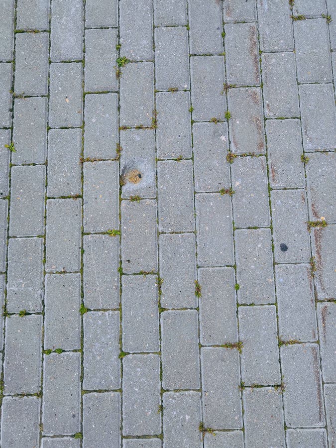 Tile asphalt pattern natural. Background of asphalt tiles gray royalty free stock image