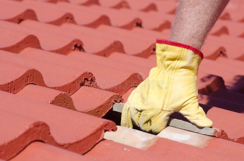 Construction Worker Putting the Asphalt Roofing Shingles with Nail Gun