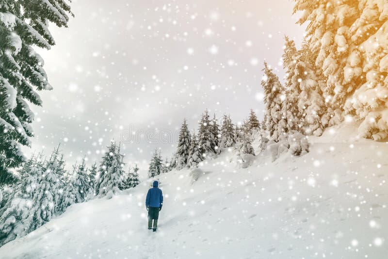 Tillbaka sikt av det turist- fotvandrareanseendet på brant berglutning på kopieringsutrymmebakgrund av prydliga träd och klar him royaltyfri fotografi Tillbaka sikt av det turist- fotvandrareanseendet på brant berglutning på kopieringsutrymmebakgrund av prydliga träd och klar him royaltyfri fotografi