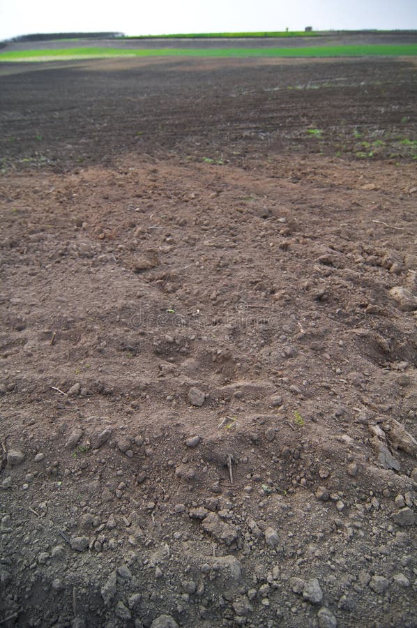 Tilled field stock image. Image of loam, earth, clod 62906443