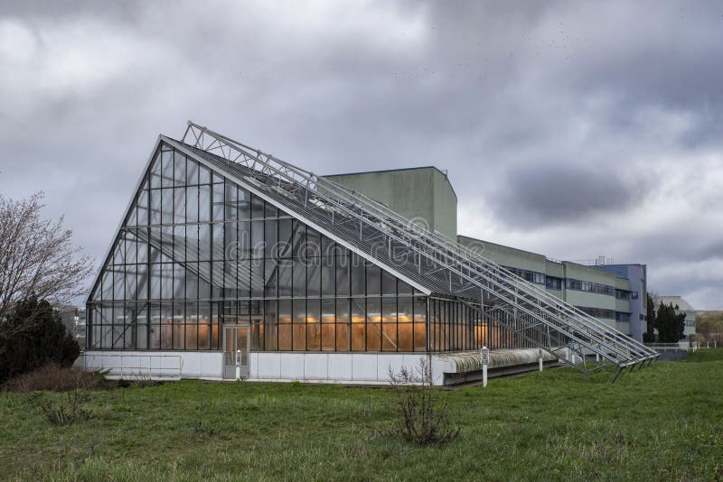 Tillväxt i en belyst växthusgas fotografering för bildbyråer