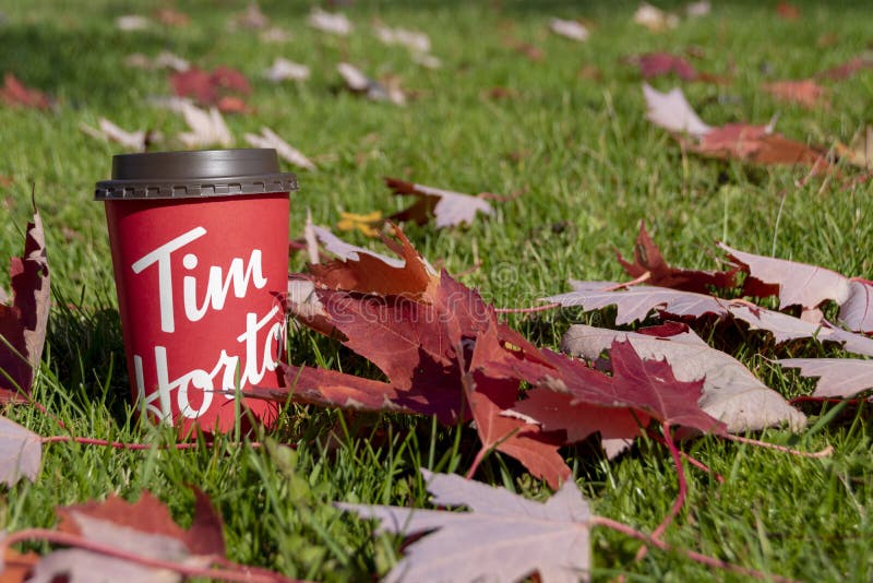 Tim Hortons Montreal Stock Photos - Free & Royalty-Free Stock