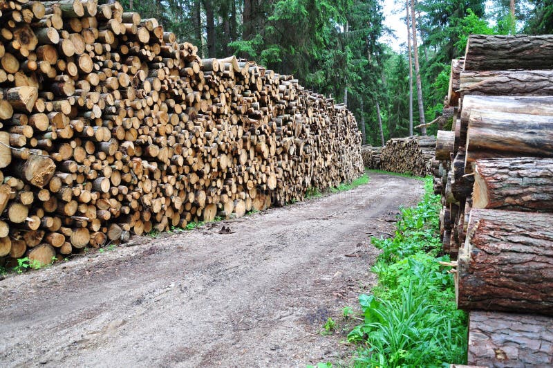 Timber industry stock image. Image of nature, environmental 25378267