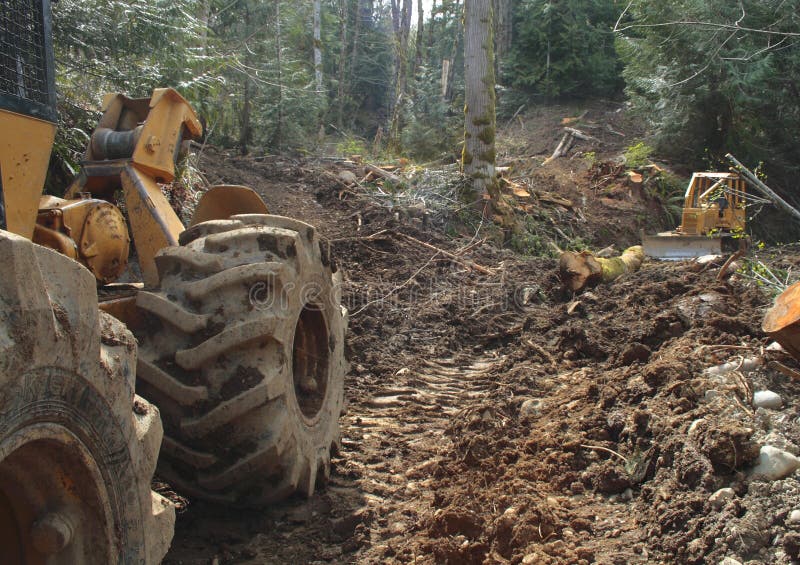 Land Clearing stock image. Image of lumber, logging, timber - 6325997