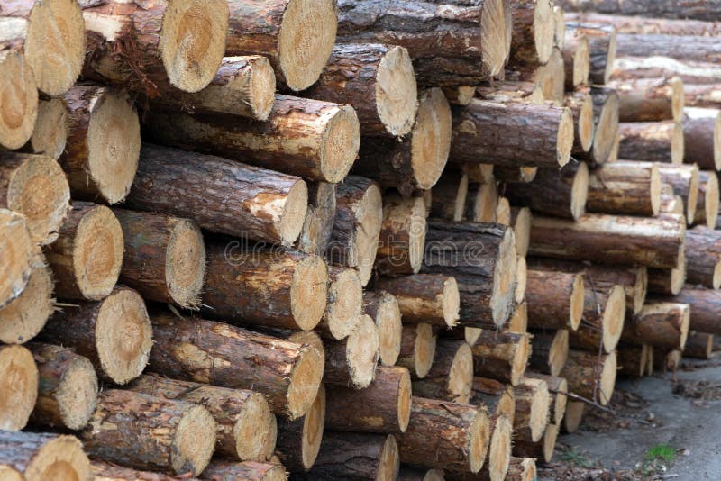 Timber Industry stock photo. Image of forest, wood, recycling - 85530192