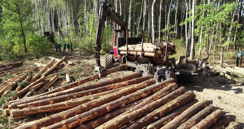 Timber loading, loading logs into a truck, timber processing, deforestation, timber loading with a claw stock footage