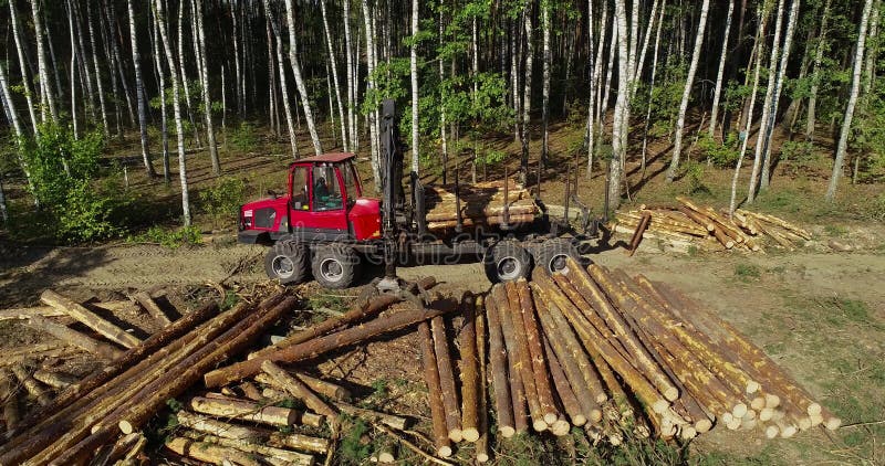Timber loading, loading logs into a truck, timber processing, deforestation, timber loading with a claw stock footage