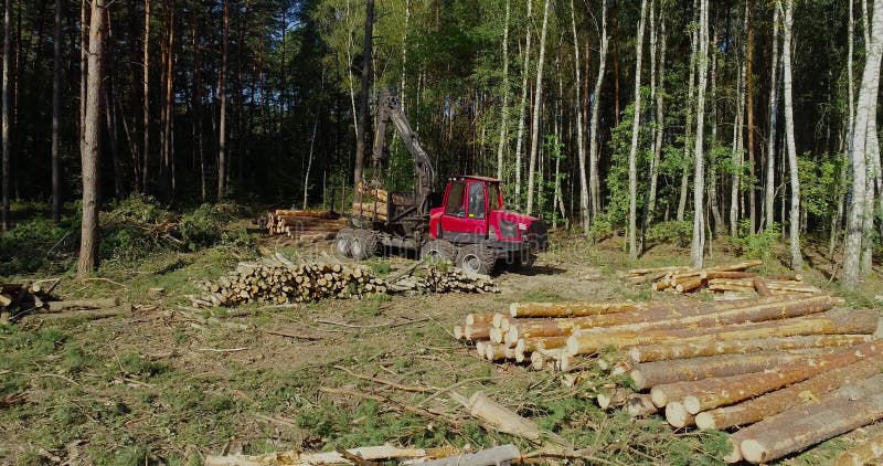 Timber loading, loading logs into a truck, timber processing, deforestation, timber loading with a claw stock video