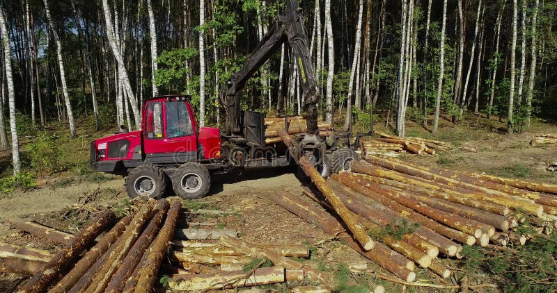Timber loading, loading logs into a truck, timber processing, deforestation, timber loading with a claw stock video footage