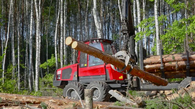 Timber loading, loading logs into a truck, timber processing, deforestation, timber loading with a claw stock footage