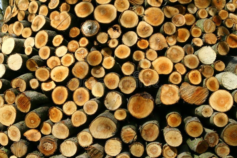 94,000+ Wood Logs Pictures
