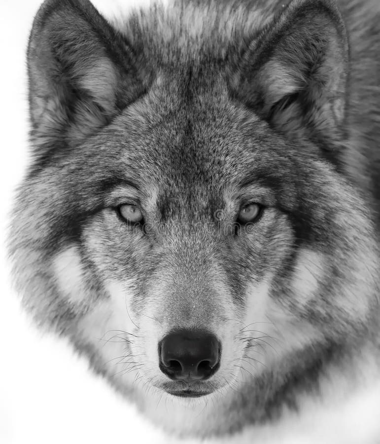 My Image 5
