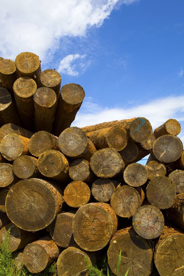 Timber stock photo. Image of stack, fuel, firewood, lumbering 36706658
