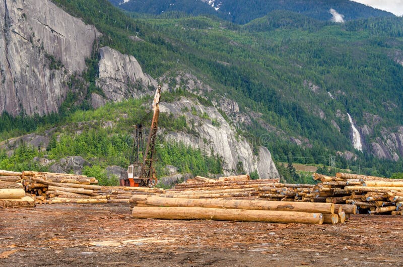 Timber Yard stock image