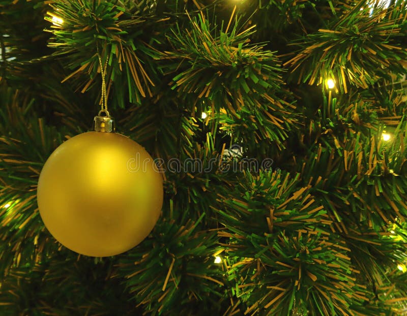 Shiny Gold Colored Dry Pine Cone Ornament Hanging on Sparkling ...