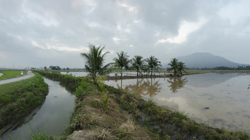 Timelapse hermosa vista del área rural en la naturaleza con reflexión en el agua