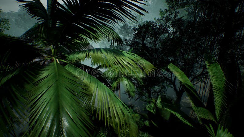 973 Jungle 3d Stock Photos - Free & Royalty-Free Stock Photos from Dreamstime 973 Jungle 3d Stock Photos - Free & Royalty-Free Stock Photos from Dreamstime