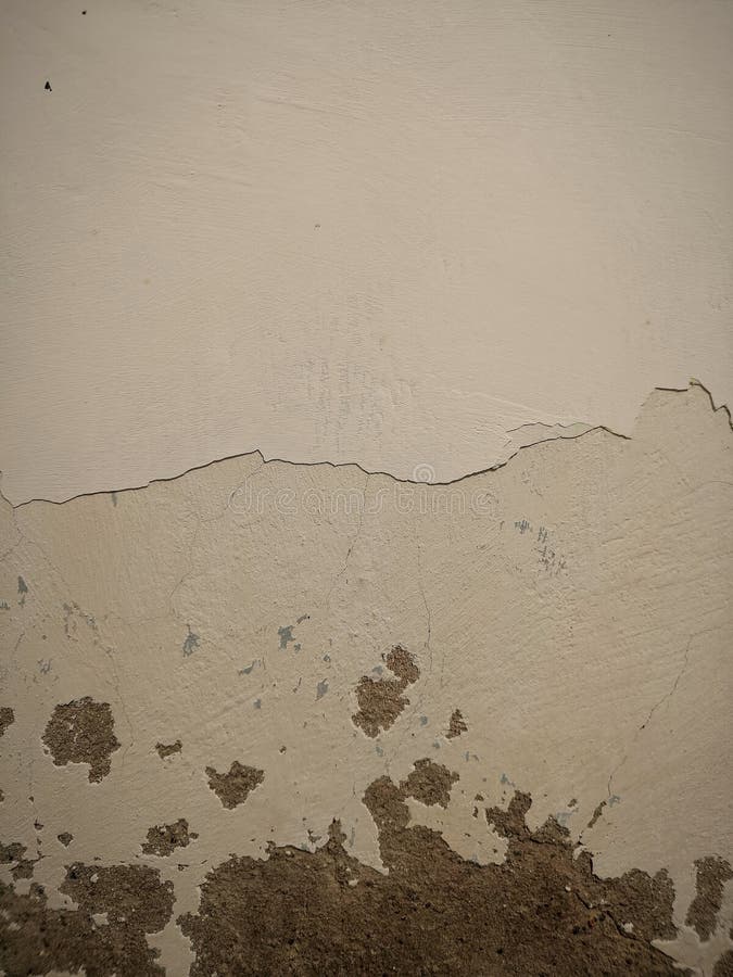 Timeless Charm: Vintage Wall Art