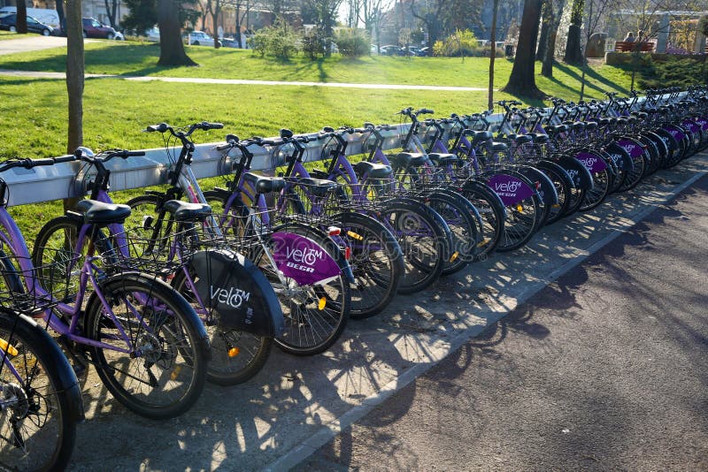 TIMISOARA, ROEMENIË-03 28 2019 het Openbare systeem van de huurfiets Fietsen die in post worden gedokt royalty-vrije stock afbeelding TIMISOARA, ROEMENIË-03 28 2019 het Openbare systeem van de huurfiets Fietsen die in post worden gedokt royalty-vrije stock afbeelding