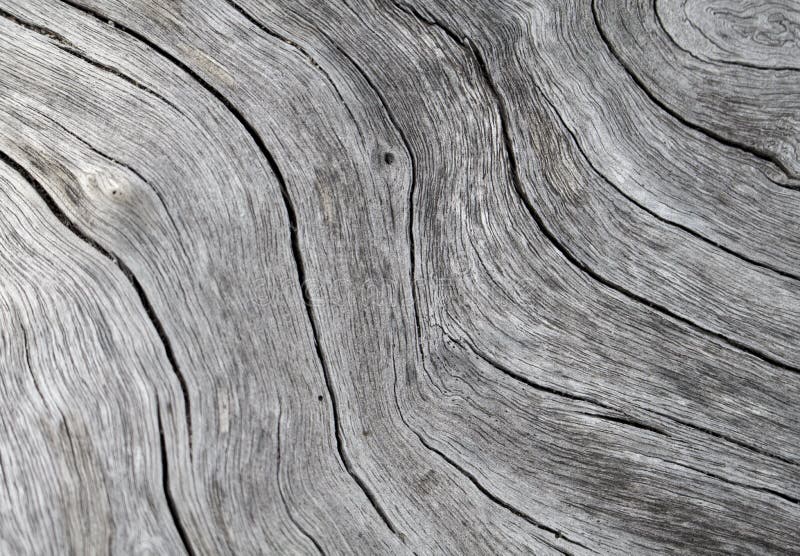Timmertexturslut upp fotoet Vit och grå wood bakgrund royaltyfria bilder Timmertexturslut upp fotoet Vit och grå wood bakgrund royaltyfria bilder