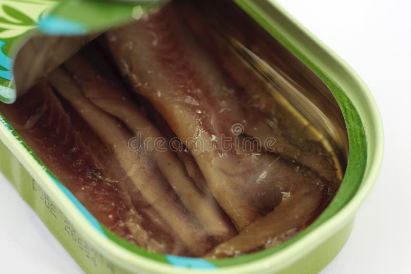 Anchovies Fillets In Tin Can Stock Image Image of fillet, cooked