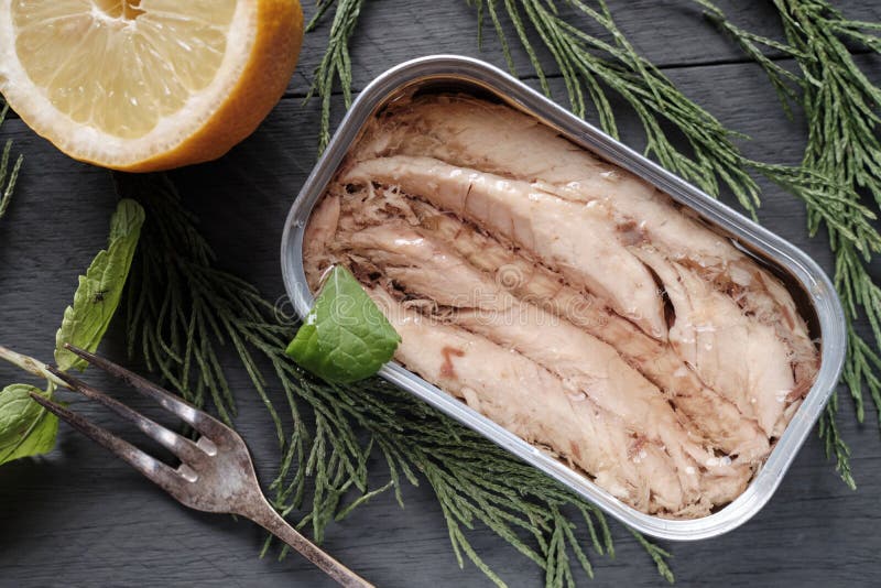 Tin Can of Mackerel Fillets Stock Image Image of product, lunch