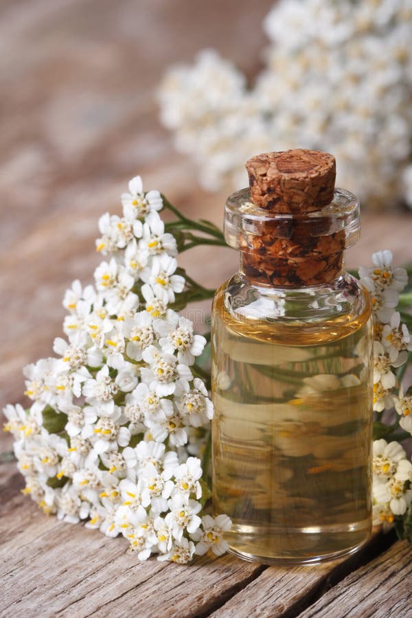 Tincture of Yarrow Closeup on a Background of Flowers Stock Image