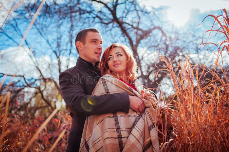 Tinere îmbrățișări în pădurea de toamnă, printre ierbii înalte royalty free stock photo
