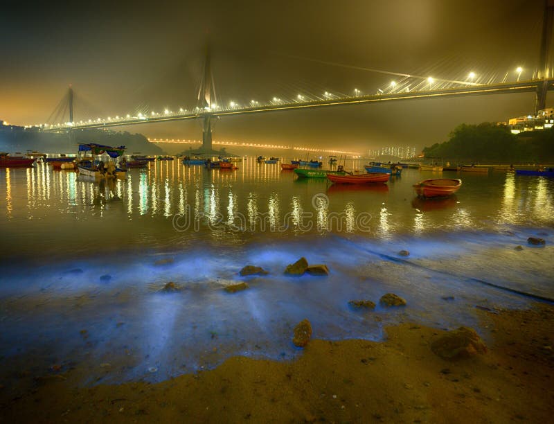 Ting Kau Bridge Sea of Stars twinkle