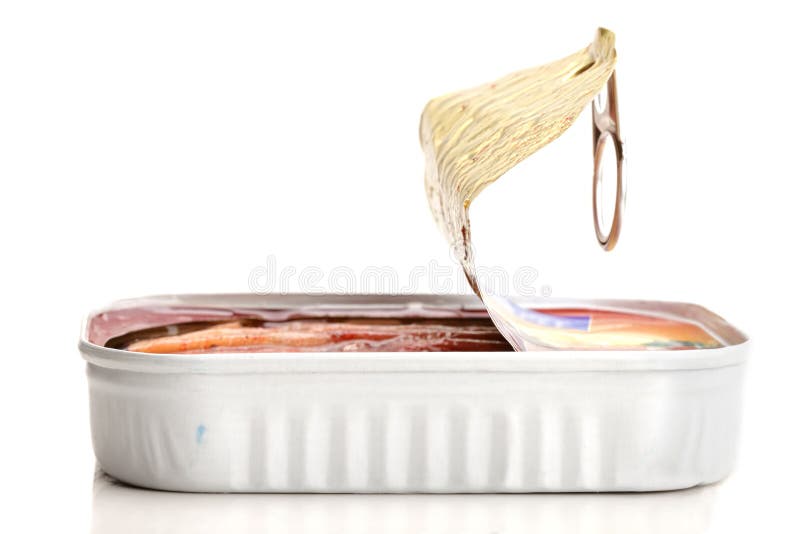 Tinned anchovy stock image. Image of anchovy, white, open 23937891
